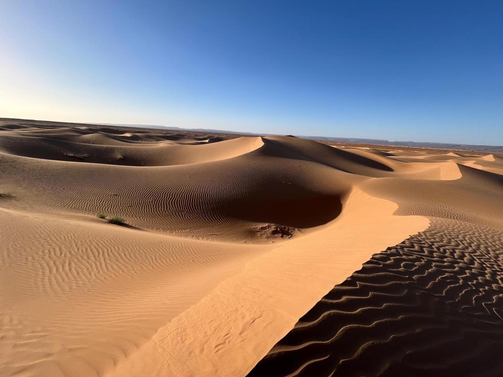 Bivouac La Dune Blanche M'Hamid Exterior photo
