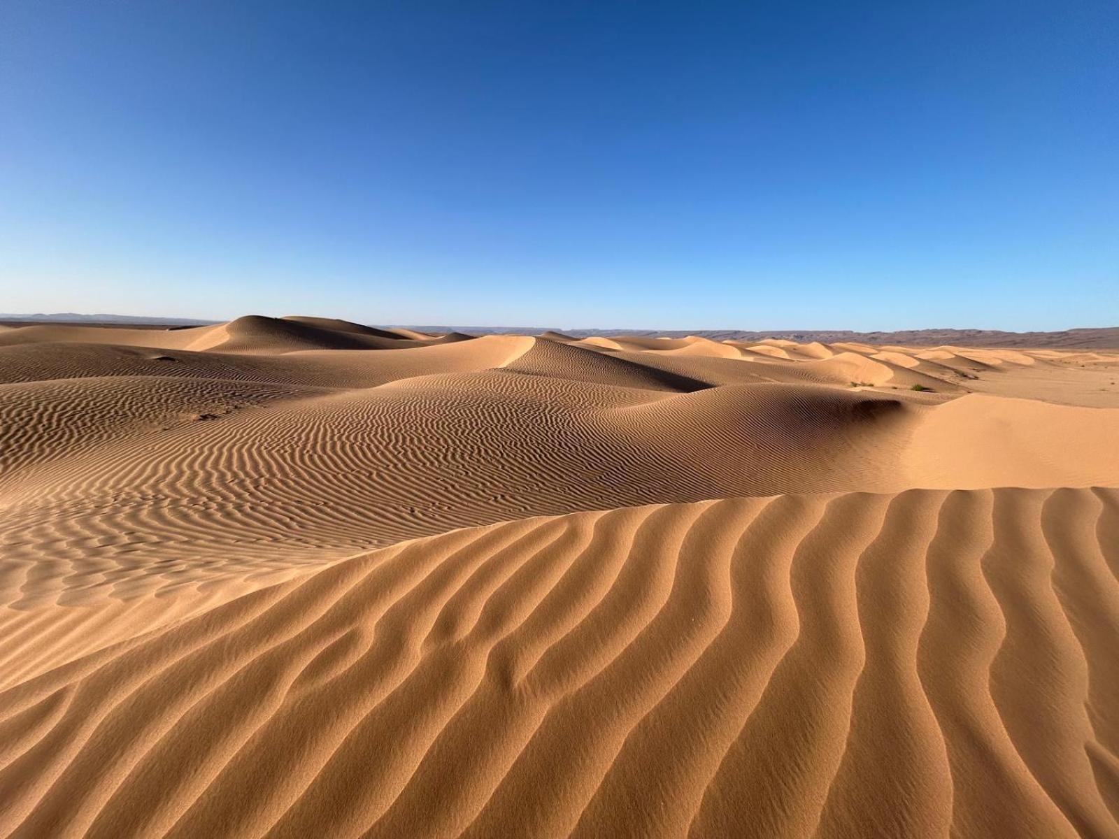 Bivouac La Dune Blanche M'Hamid Exterior photo